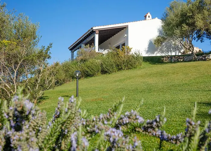 Farm stay Agriturismo Cabu Abbas Olbia