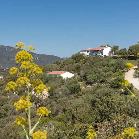 Agriturismo Cabu Abbas Bauernhof Olbia